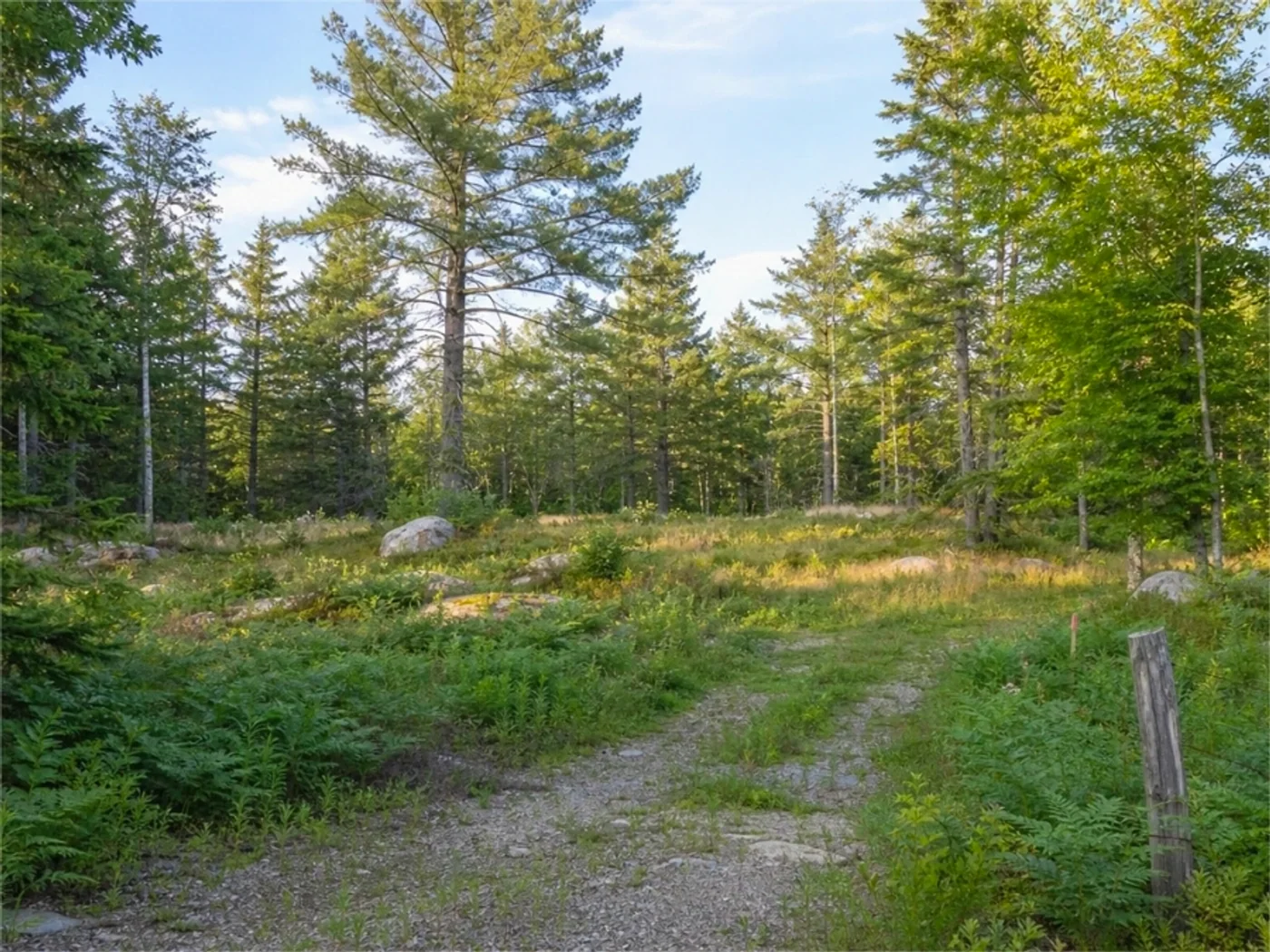 Rural Access Parcels in Adrian